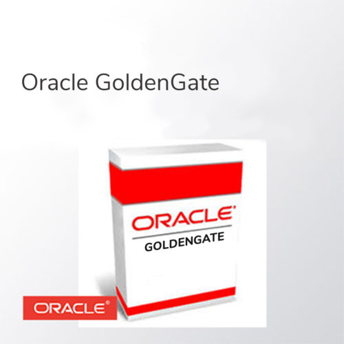 ImageGrafix Software FZCO - Oracle Goldengate