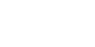 Oracle Partner
