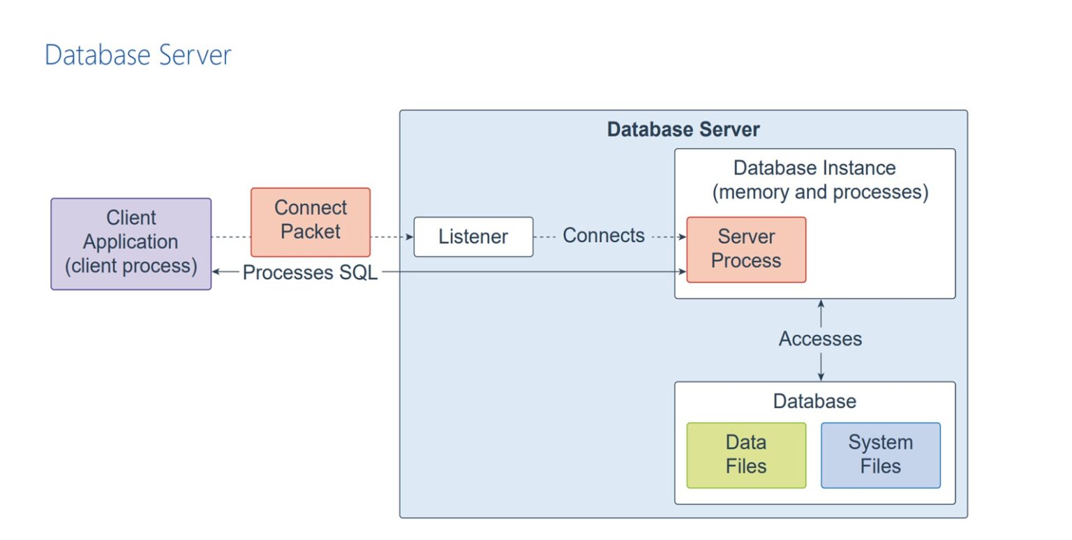 ImageGrafix Software FZCO - Oracle Database